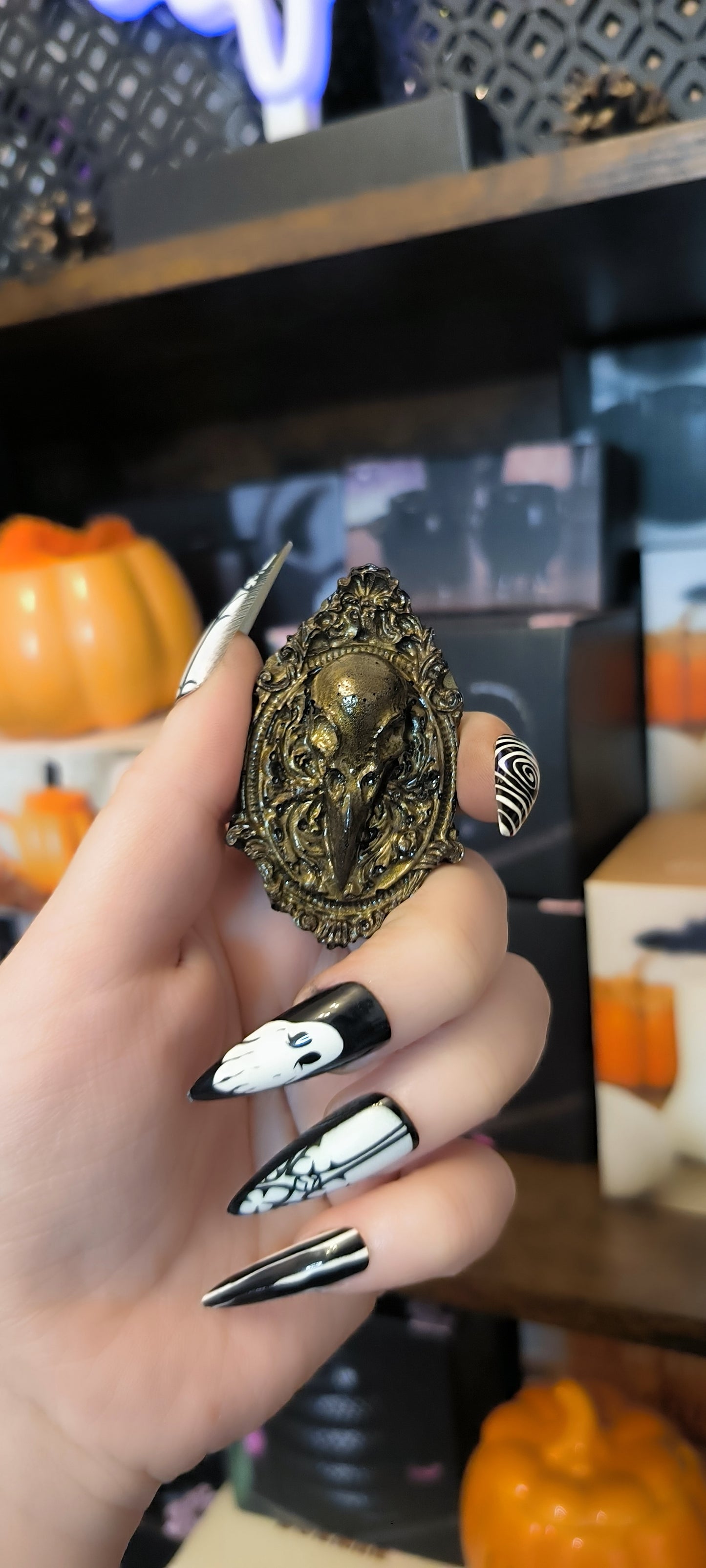 Magnet camé corbeau