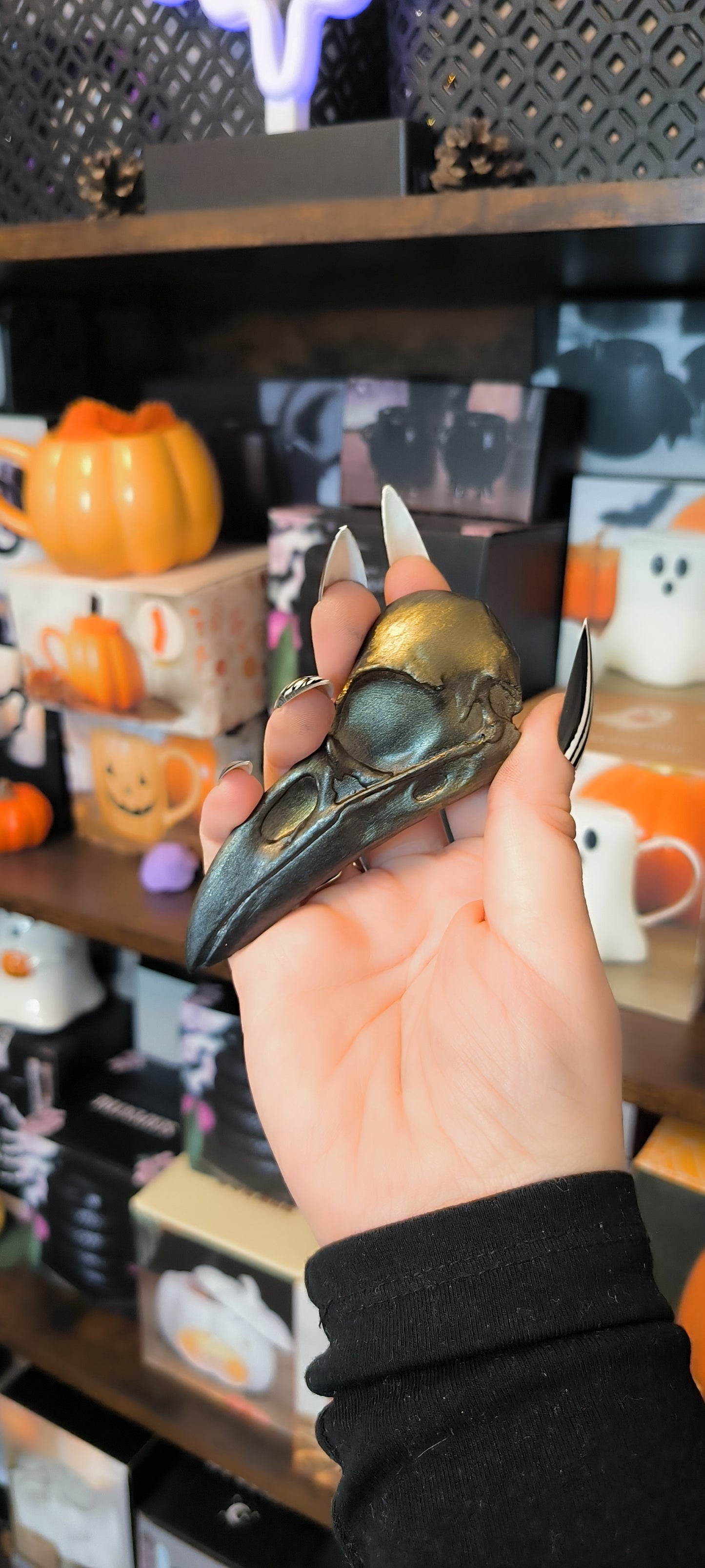 Magnet Raven skull XL