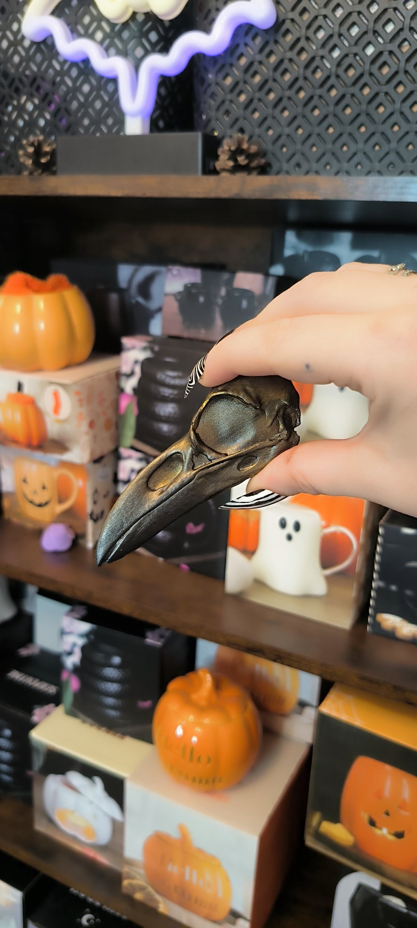 Magnet Raven skull XL