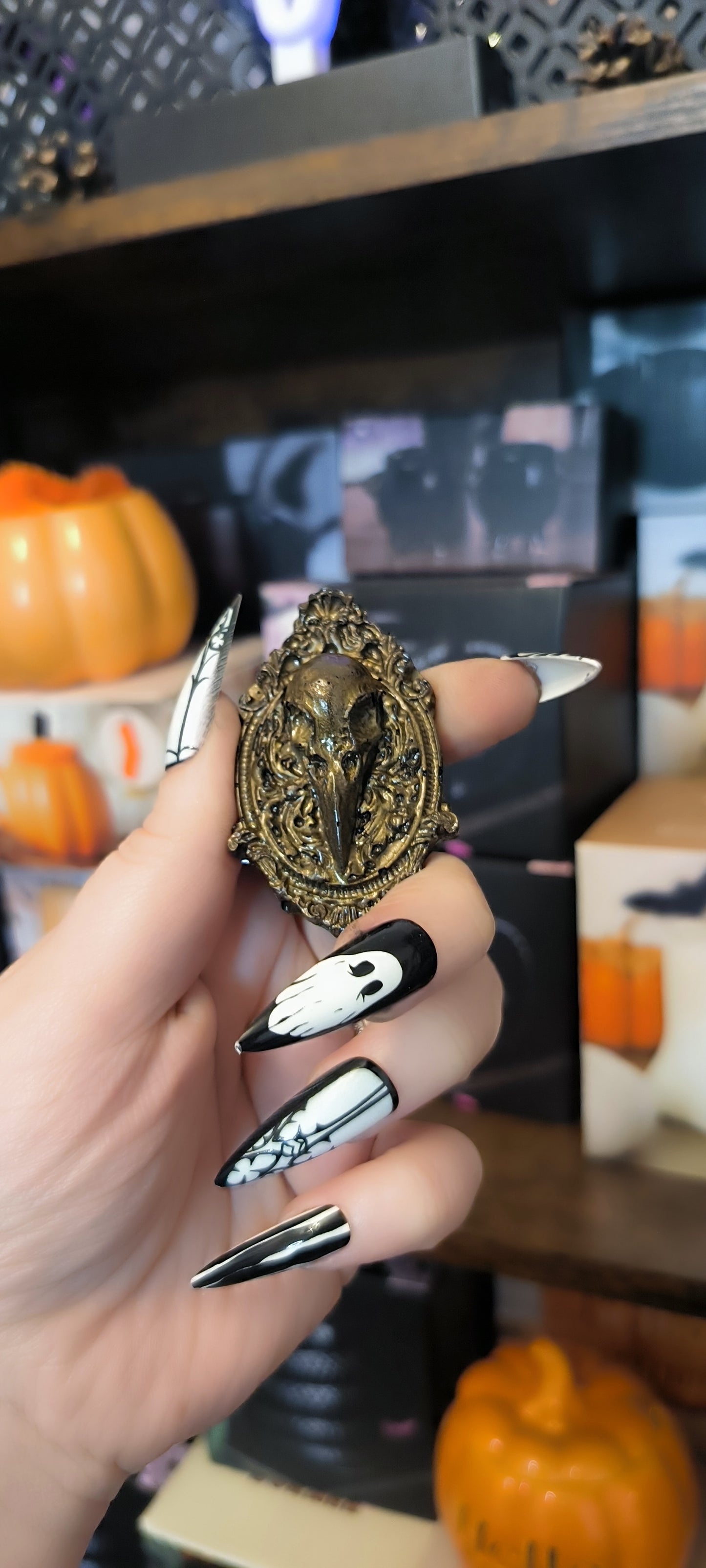 Magnet camé corbeau