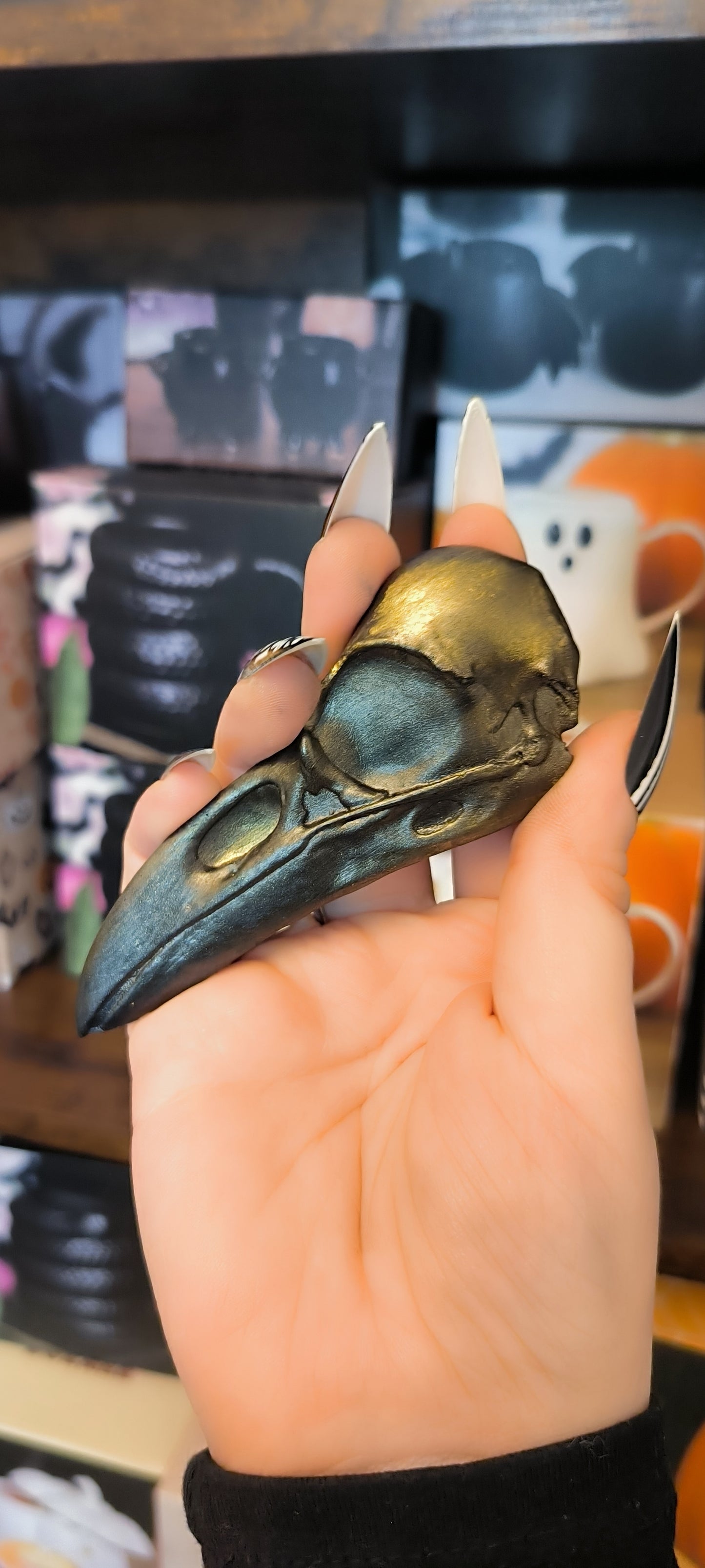 Magnet Raven skull XL