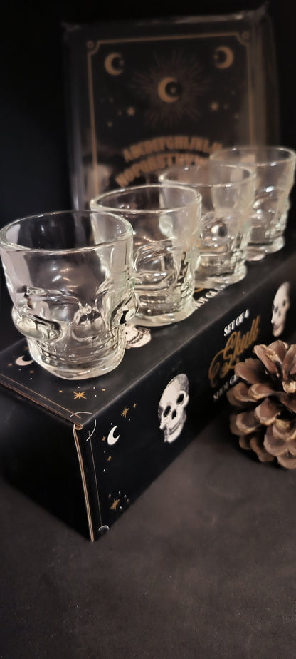 Ensemble de 4 shot Skull